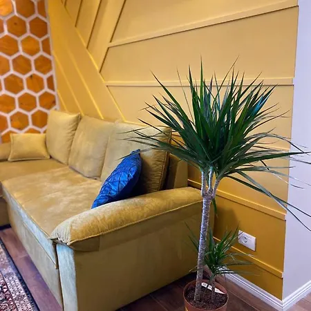 Sara Yellow Apartment
